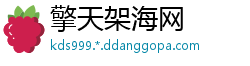擎天架海网